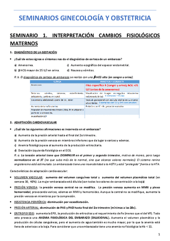 SEMINARIOS-OBSTETRICIA-Y-GINECOLOGIA-MH.pdf