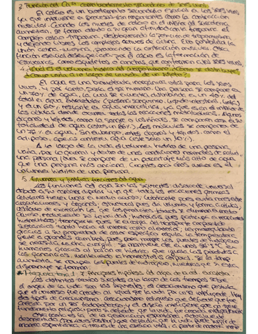 preguntasexamen4-1-21.25.30.153.pdf