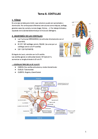 Terapia-Manual-II-T8.pdf