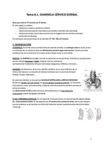 Terapia-Manual-II-T8.1..pdf