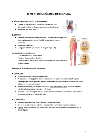 Terapia-Manual-T4.pdf