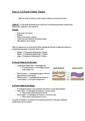 Tema-2.-La-Pared-Celular-Vegetal.pdf