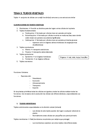 Tema-3.-Tejidos-Vegetales.pdf
