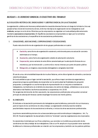Apuntes-Completos-Colectivo-Manual-2023.pdf