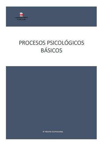 TEMAS-PPB.pdf