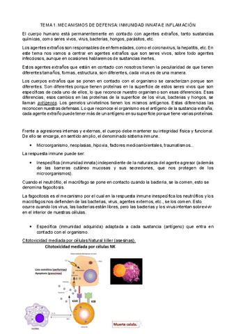 TEMA-1.pdf