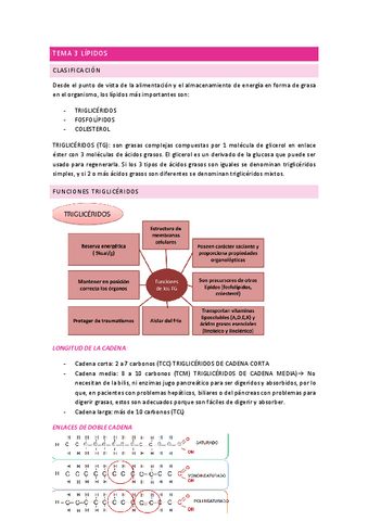 TEMA-3-LIPIDOS.pdf