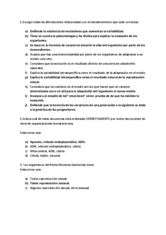 Preguntas-examen.pdf