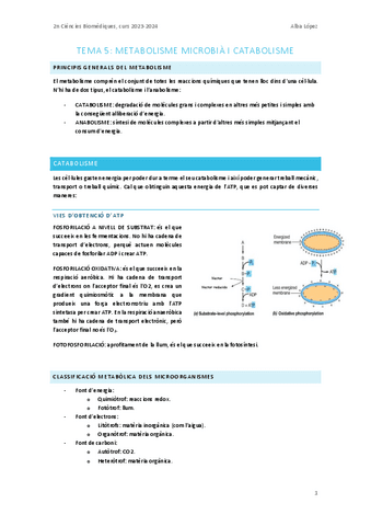 Tema-5.-Introduccio-al-metabolisme-procariota-i-catabolisme.pdf