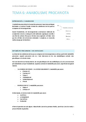 Tema-6.-Anabolisme.pdf