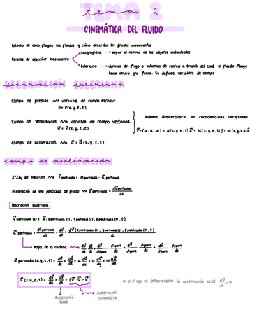 Tema-2-Cinematica-De-Fluidos.pdf