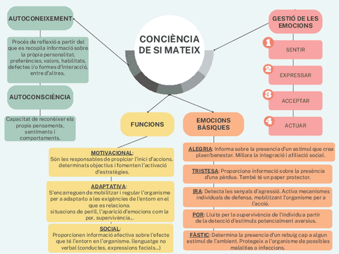 CONCIENCIA-DE-SI-MATEIX.pdf
