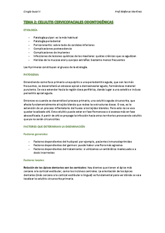TEMA-2.pdf