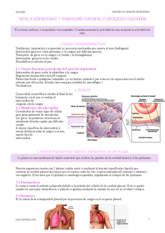 respiratorio-1-morfologia-funcional-y-ventilacion-pulmonar.pdf