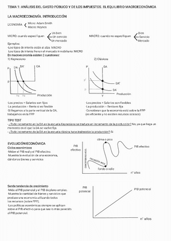 RESUMEN-CAPITULO-1-MACROECONOMIA.pdf