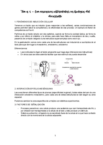 TEMA-4-DESARROLLO.pdf