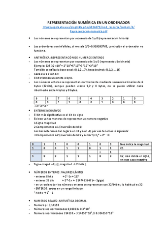 REPRESENTACION-NUMERICA.pdf