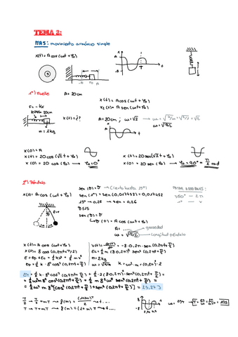 Problemas-Fisica-T2-Paula-Crespo.pdf