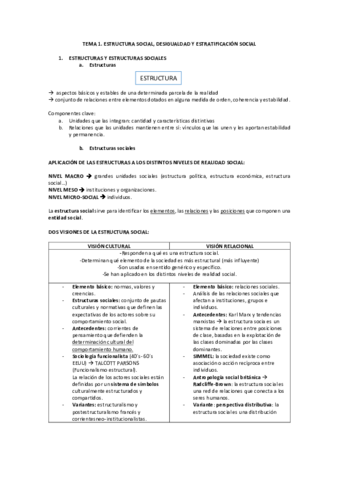 TEMA 1.pdf