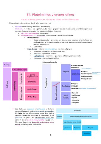 T4.-Platelmintos-y-grupos-afines.pdf