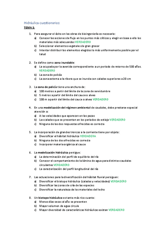 Cuestionarios-HEC-RAS.pdf