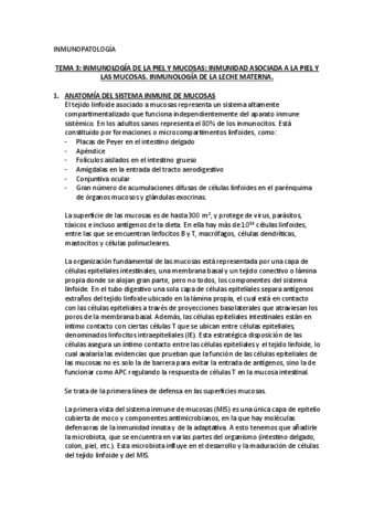 tema3.pdf