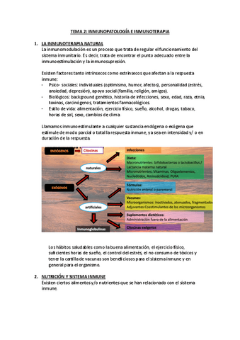 tema2.pdf