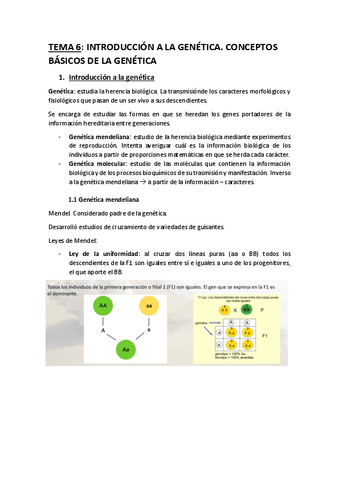 bloque-2.pdf