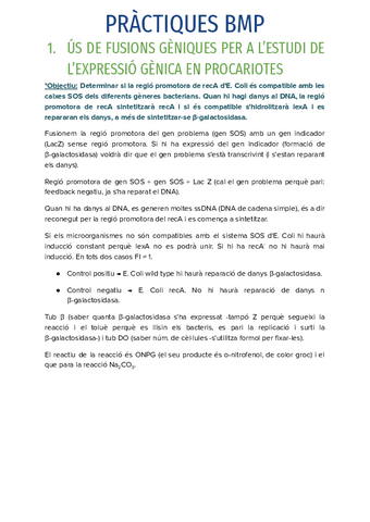 EXPLICACIO-I-APUNTS-PRACTIQUES-BMP.pdf