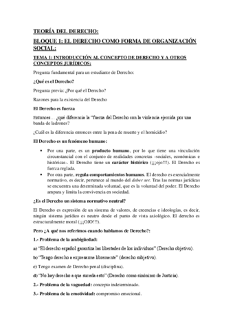 teoria-del-derecho-examen.pdf