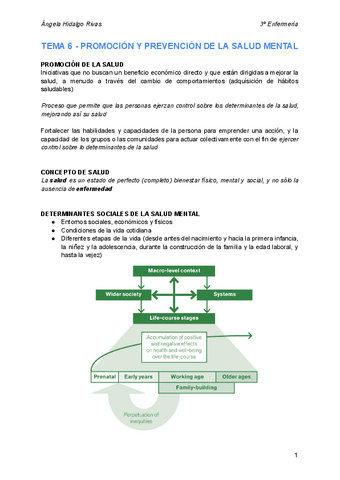Salud-Mental-Itema6.pdf