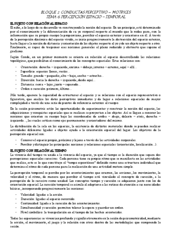 Psicomotor-TEMA-6-2.pdf