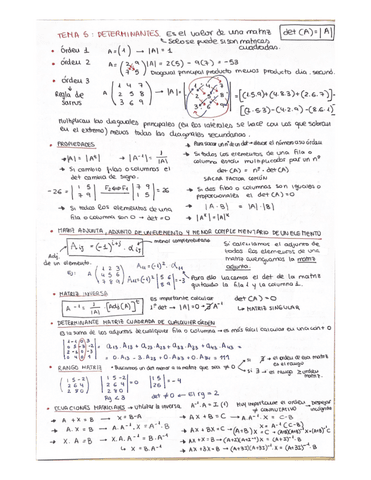 Tema5-Matrices-y-determinantes.pdf