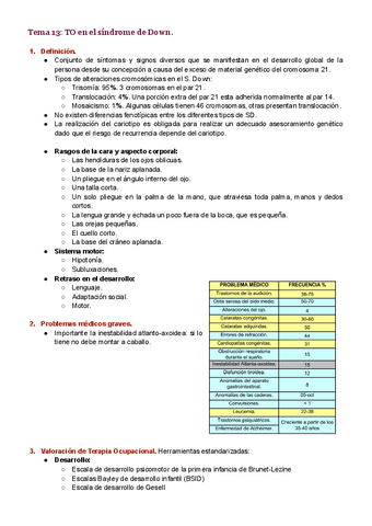 Tema-13.pdf