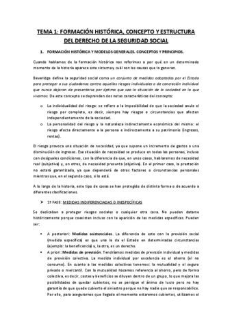 Tema-1-ss.pdf