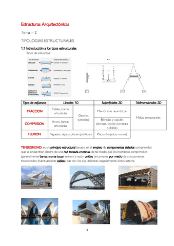 Tema-2-Estructuras.pdf