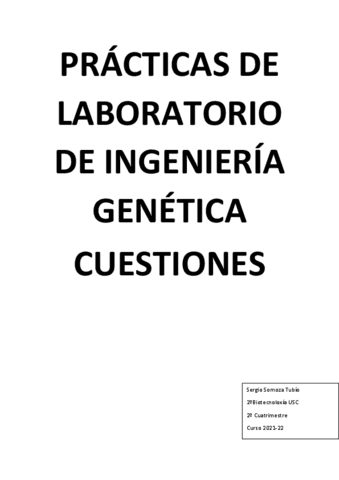 Practicas-IG.pdf