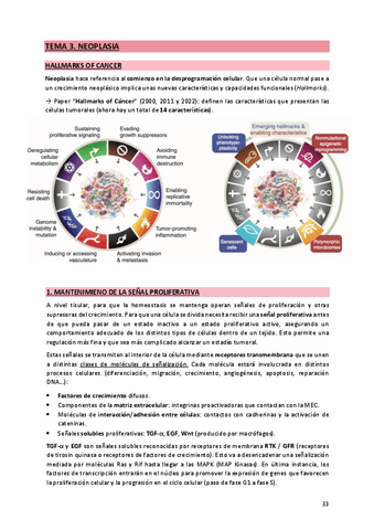 3. Neoplasia.pdf