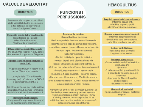 PUNCIONS-Y-PERFUSSIONS.pdf
