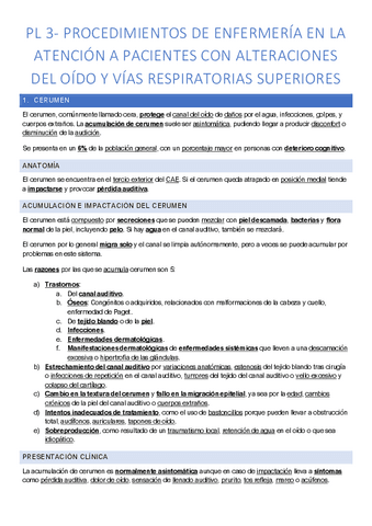 PL3-ALTERACIONES-DEL-OIDO.pdf