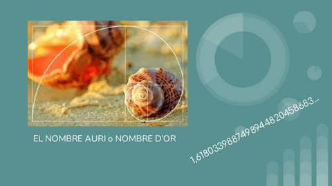 Activitat-El-nombre-dOr.pdf