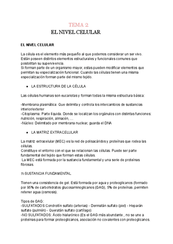RESUMEN-T.2-fisio.pdf