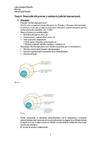 Tema-6-Internacional-Privado.pdf