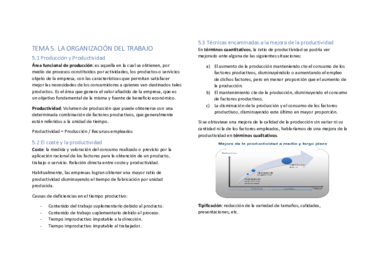 Resumen_TEMA 5.pdf