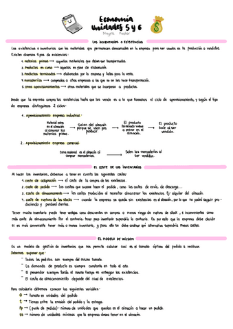 Temas-5-Y-6-Econosublime.pdf