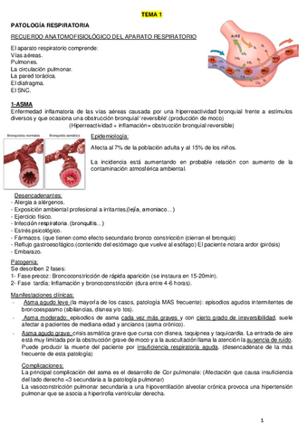 PATO-RESPIRATORIA.pdf