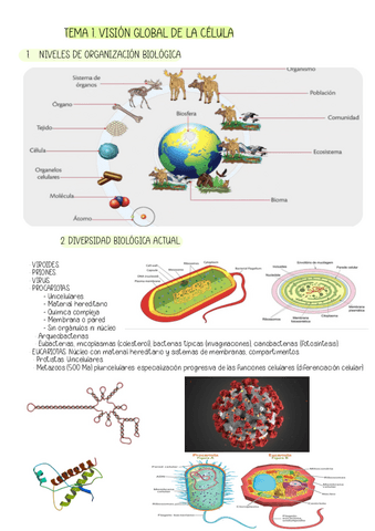 TEMA-1.-Vision-global-de-la-celula.pdf