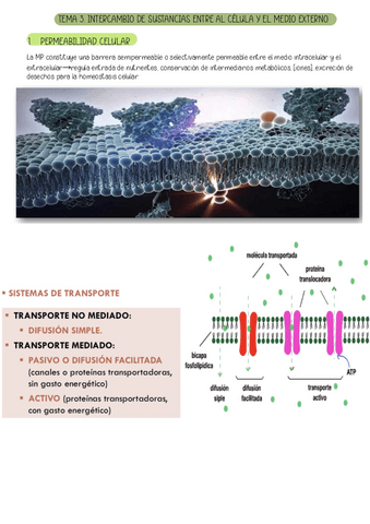 TEMA-3.-INTERCAMBIO-DE-SUSTACNIAS-ENTRE-LA-CELULA-Y-LE-MEDIO-EXTERNO.pdf