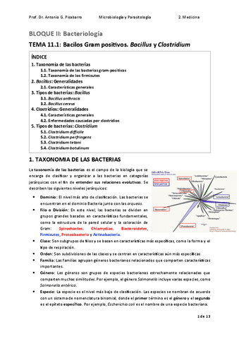 TEMA-11.1.-Bacilos-Gram-positivos.-Bacillus-Clostridium.pdf