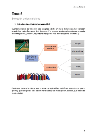 Tema-5.-Seleccion-de-las-variables.pdf